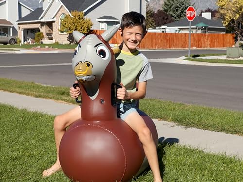 Hop N Go Inflatable Riding Bouncer Animals