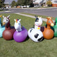 Hop N Go Inflatable Riding Bouncer Animals