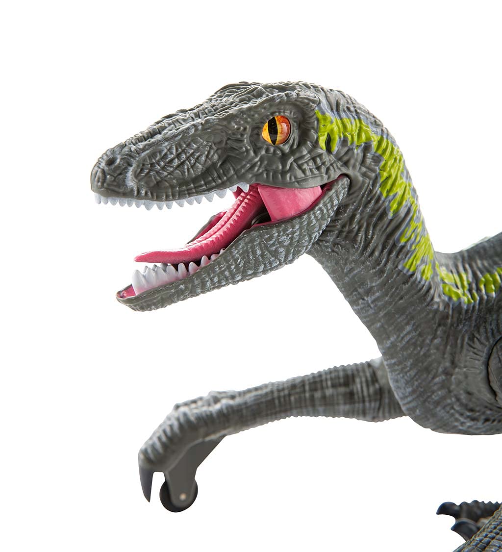 Jurassic Adventures RC Velociraptor